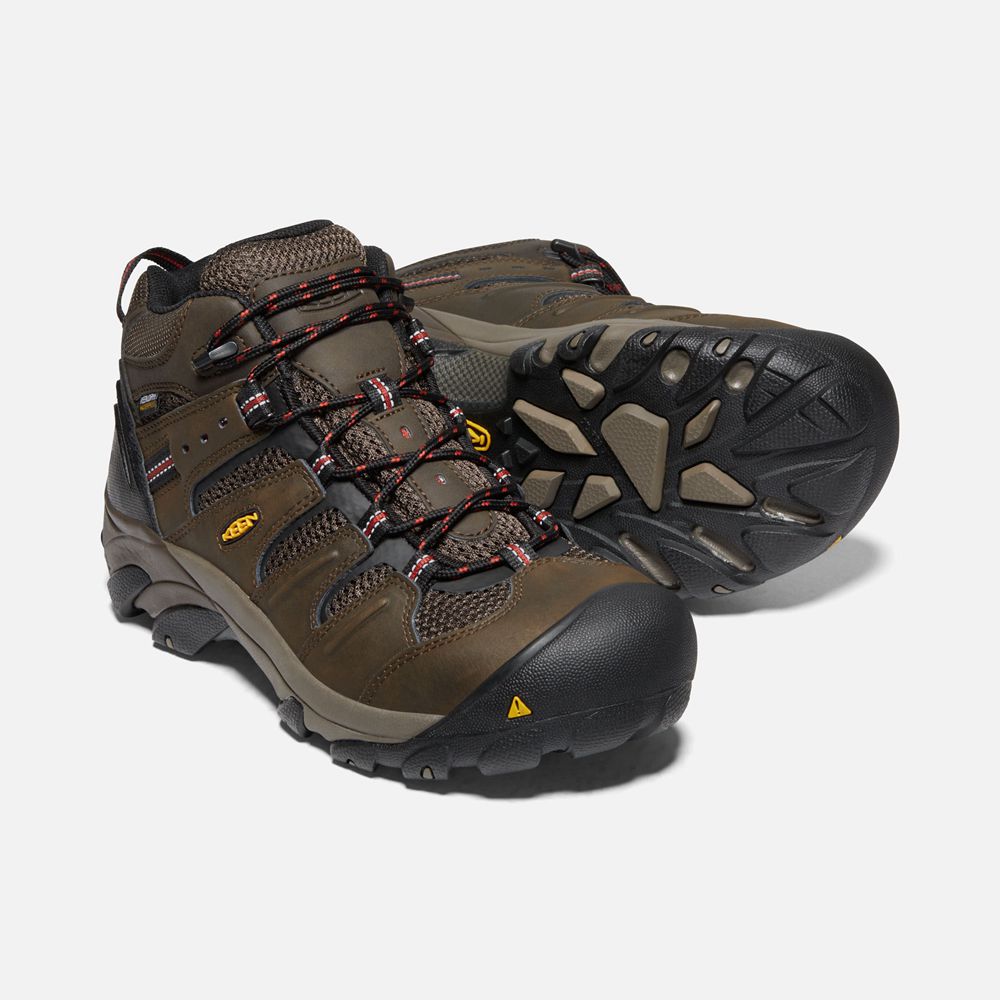 Botte de Travail Keen Homme Marron | Lansing Mid Waterproof (Steel Toe) | FGMES-6247